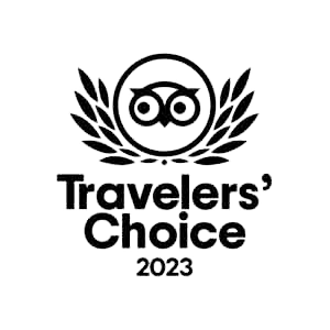 Travelers Choice Logo